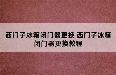 西门子冰箱闭门器更换 西门子冰箱闭门器更换教程